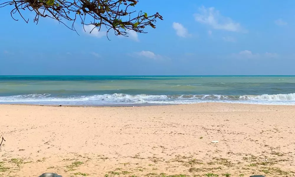 Pearl Oceanic Resort - Trincomalee, фото 4