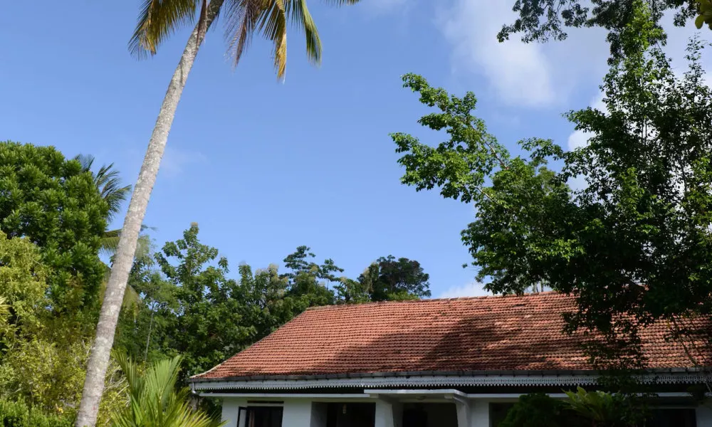 Maggie Garden Hostel