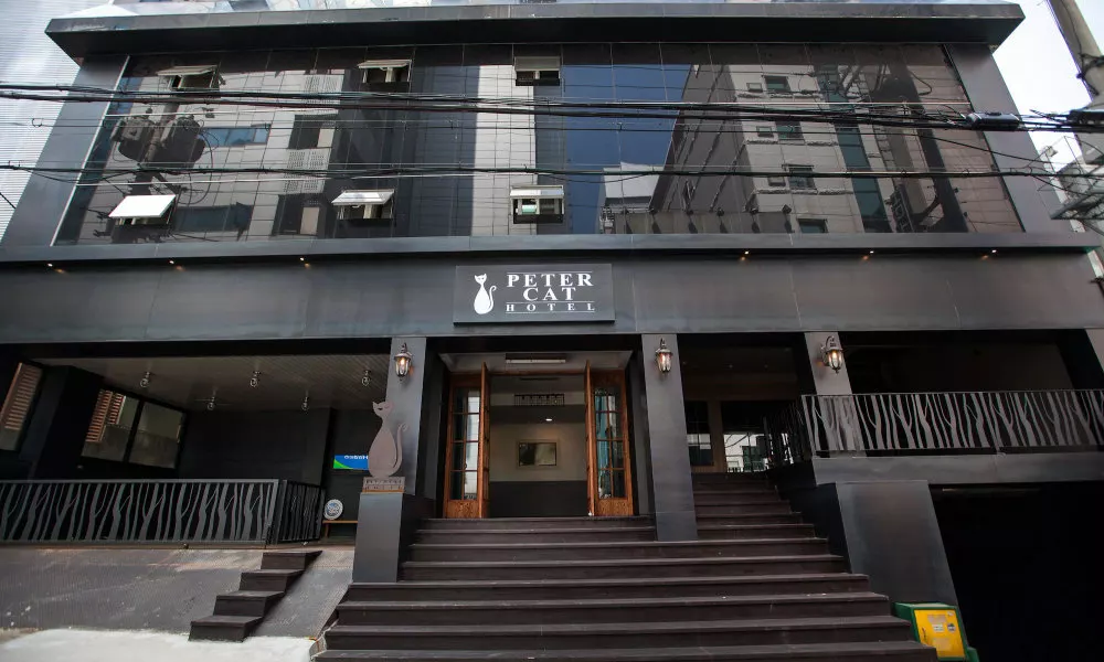 Petercat Hotel Sinchon Hongdae, фото 5