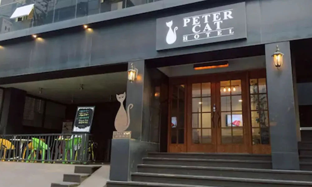 Petercat Hotel Sinchon Hongdae