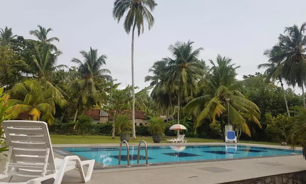 Villa Velmarie Yoga and Ayurveda house all inclusive, фото 4