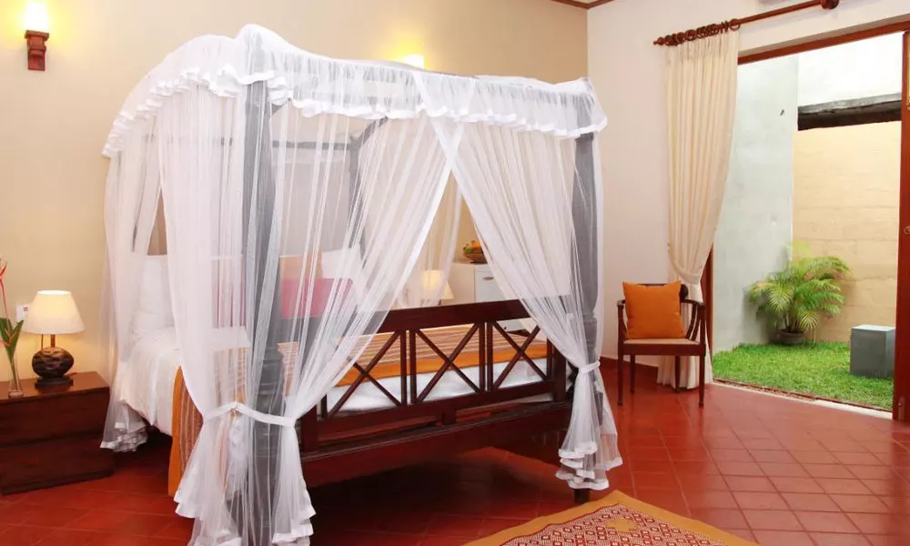 Villa Velmarie Yoga and Ayurveda house all inclusive, фото 2
