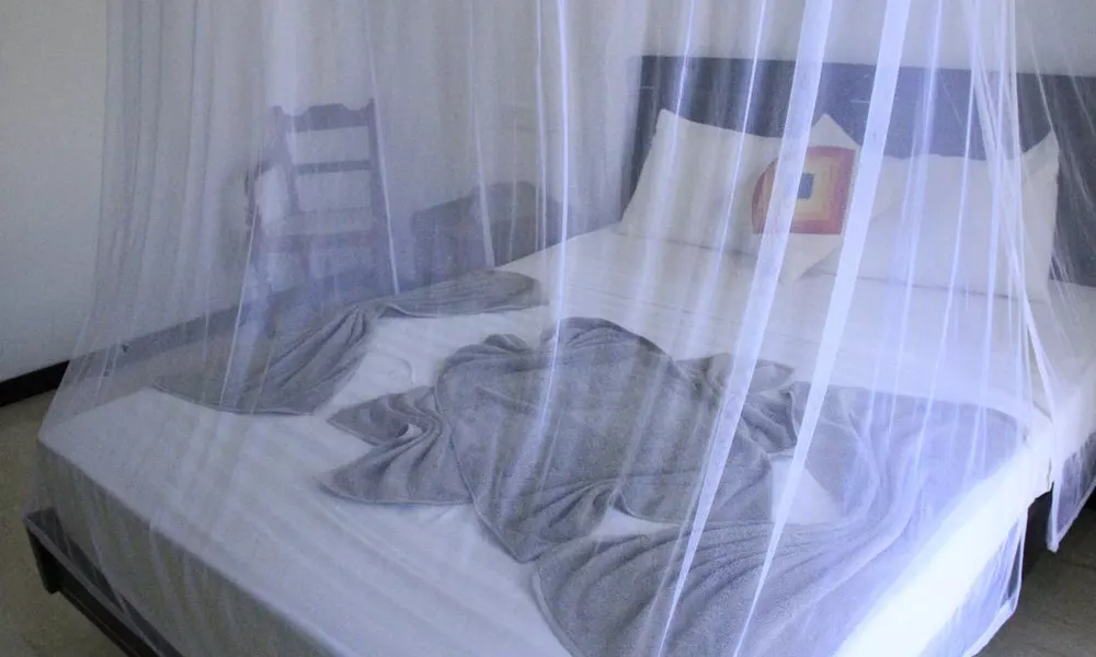 Nb Hotel, фото 3