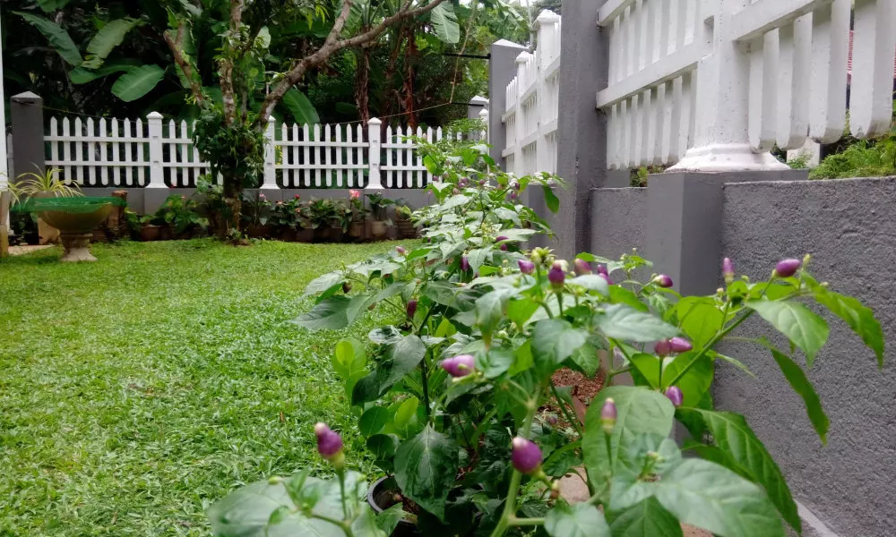 Le Meridien BNB, фото 5