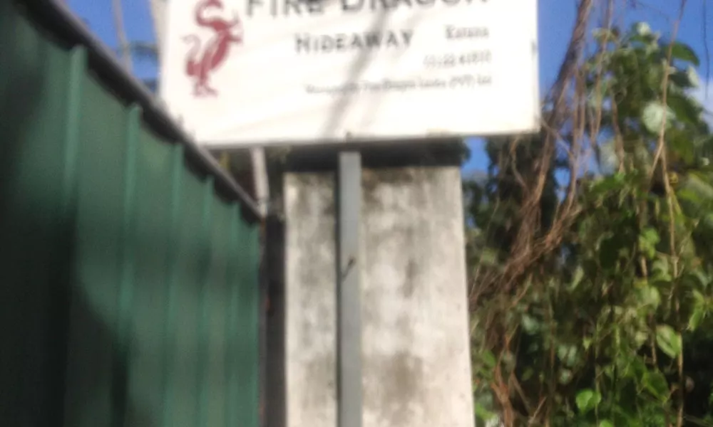 Fire Dragon Hideaway, фото 4
