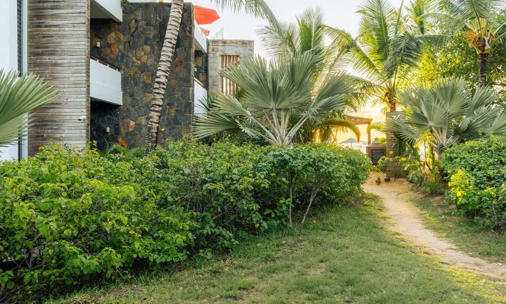 Mystik Life Style Hotel, фото 3