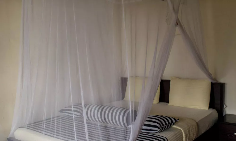 Blue Ribbon Homestay, фото 2