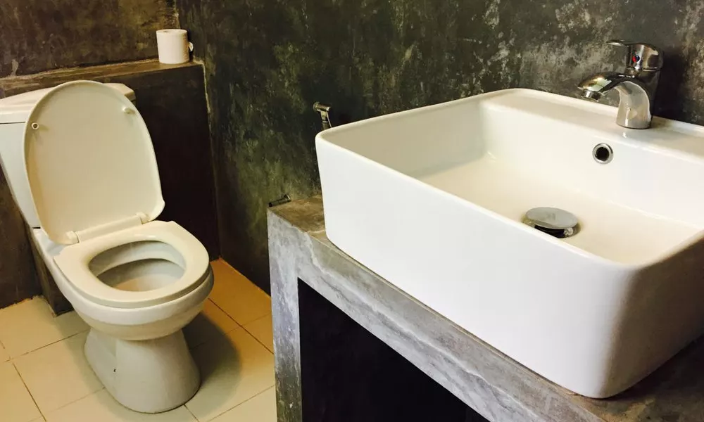 Araliya Villa Fort Guest House, фото 4