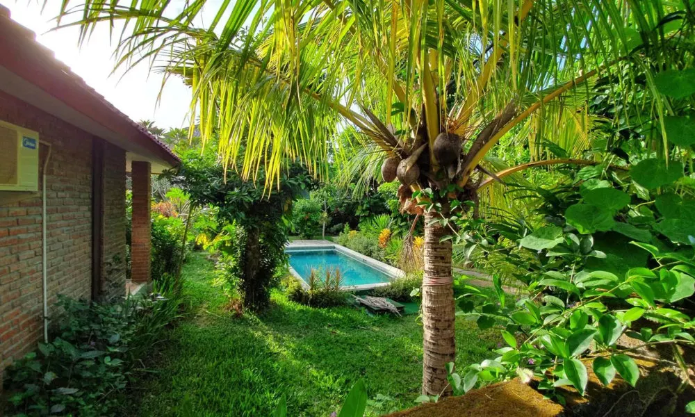 Timbis Homestay Bali, фото 3