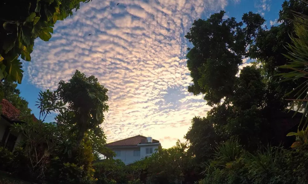 Timbis Homestay Bali, фото 4