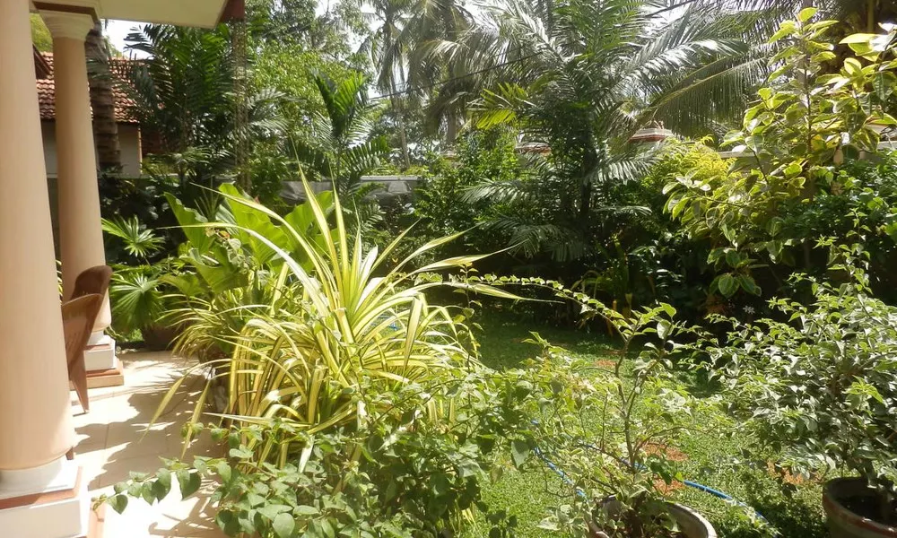 Waja Bed & Breakfast, фото 3