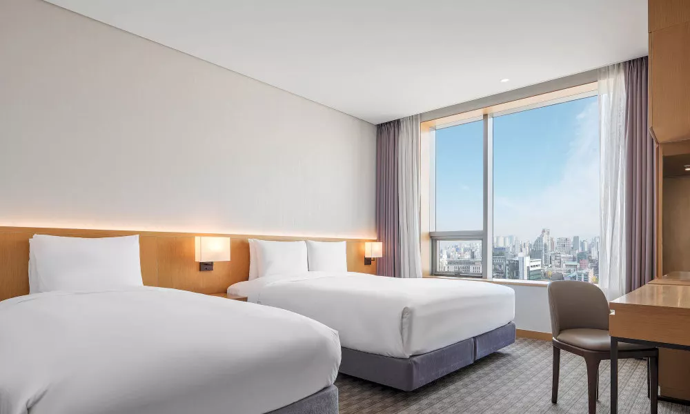 Sotetsu Hotels The Splaisir Seoul Dongdaemun, фото 3