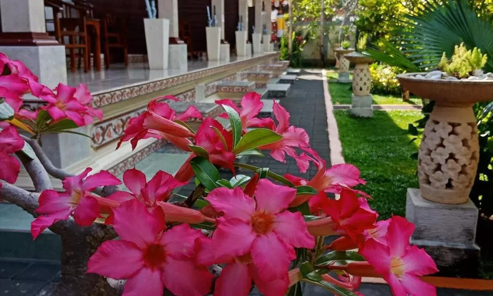 Frangipani Homestay, фото 3