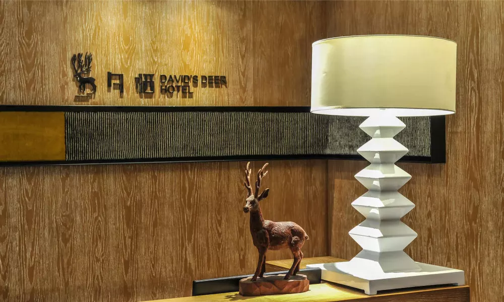 Chongqing David‘s Deer Boutique Hotel, фото 5