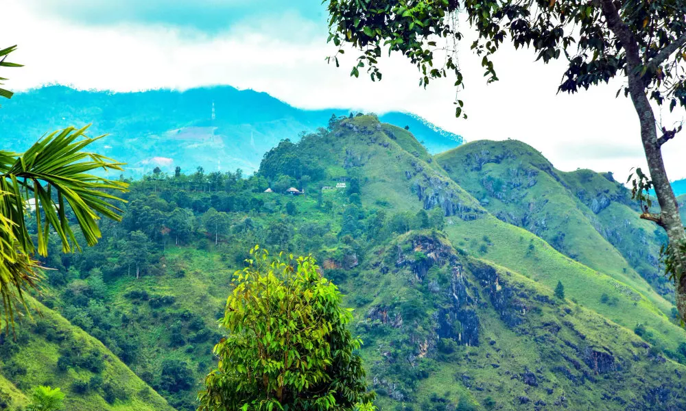 Ella Nimal Nest Inn