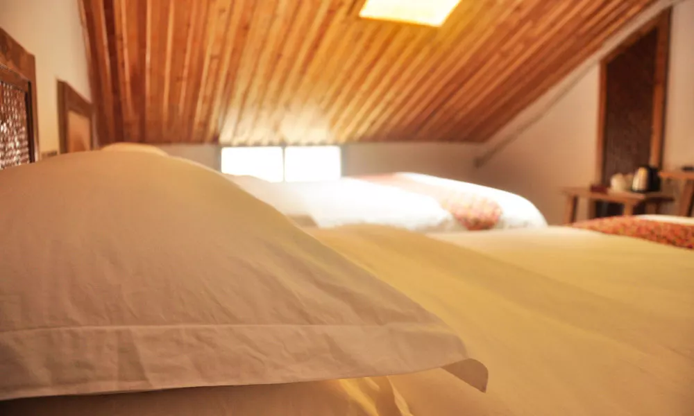 Assembly Inn - Hostel, фото 2