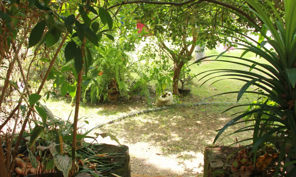 Anura Guest Inn, фото 5