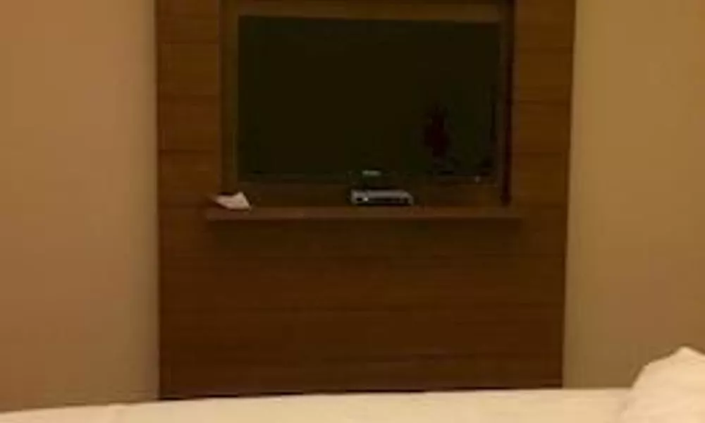 Shenzhen BoMei Hotel, фото 5