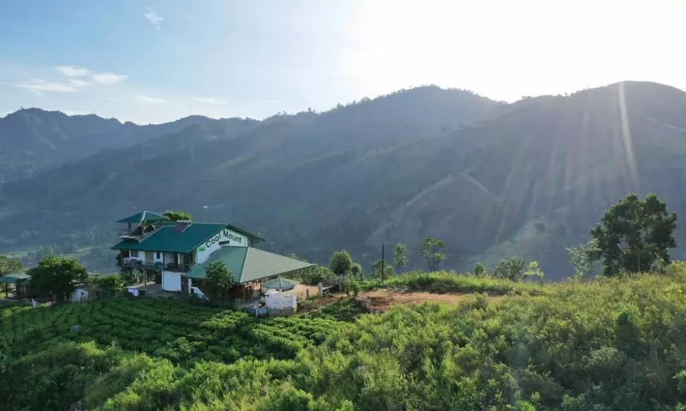 Cool Mount Resort