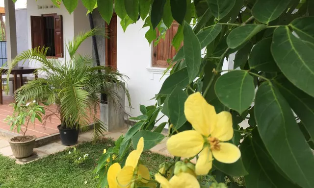 44 Karapitiya