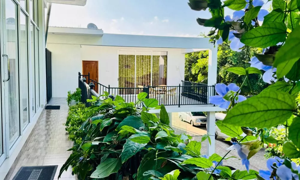 Salubrious Resort, фото 2