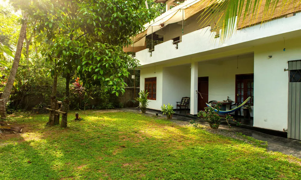 Jungleside House