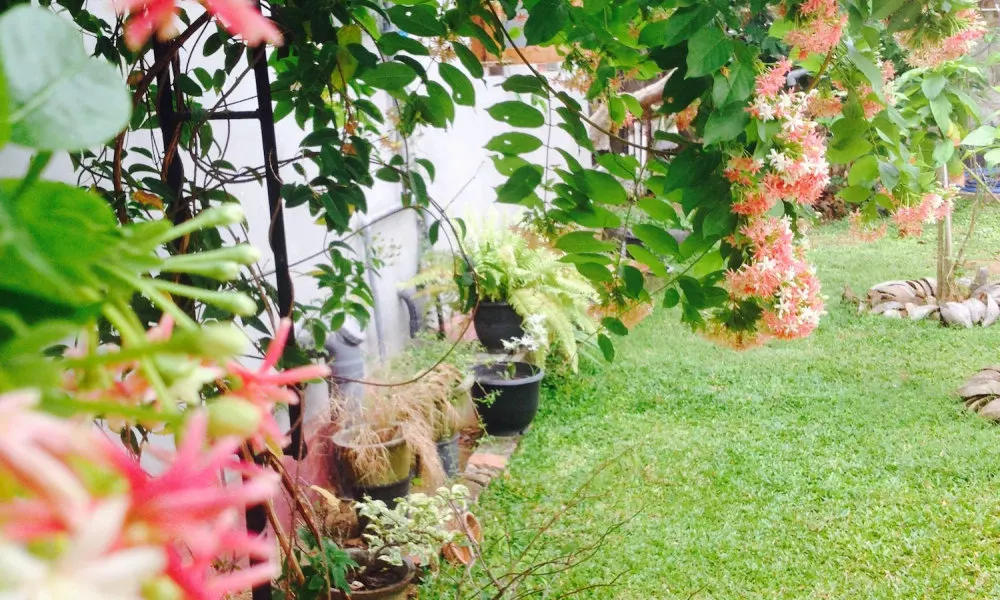 Manik Home Stay