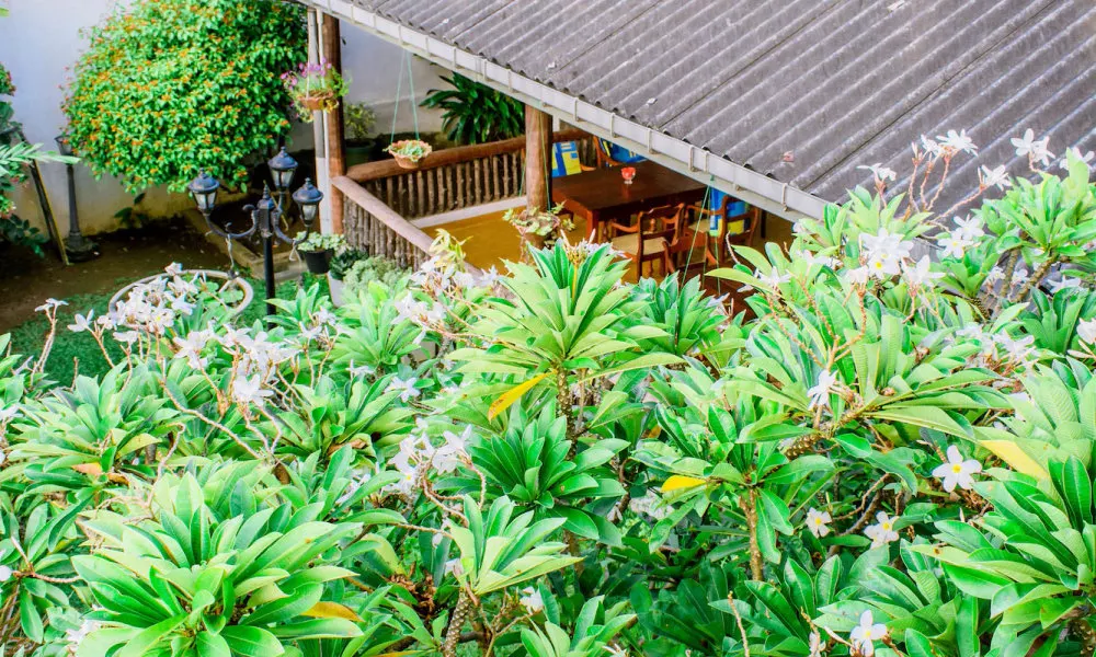 Blue Eyes Inn, фото 3