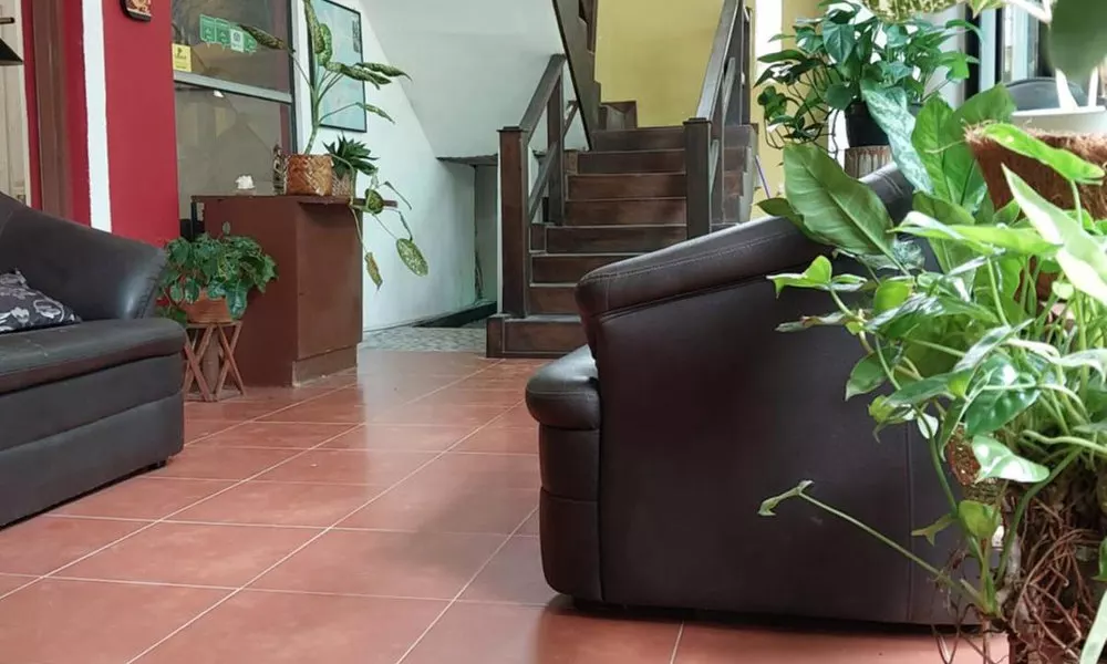 Lake Wave Hotel