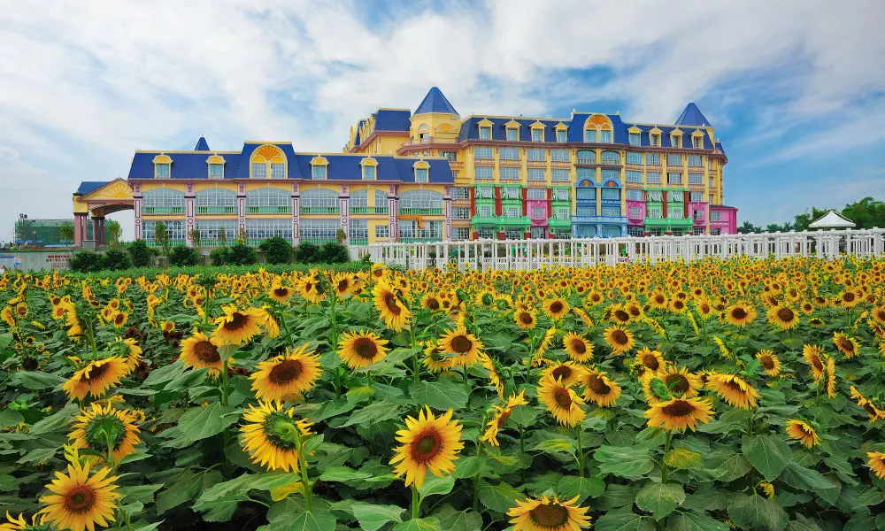 Floloving Hotel, фото 3