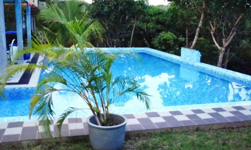 Green View Villa, фото 3