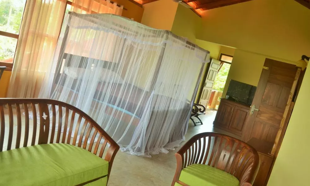 Green View Villa, фото 4