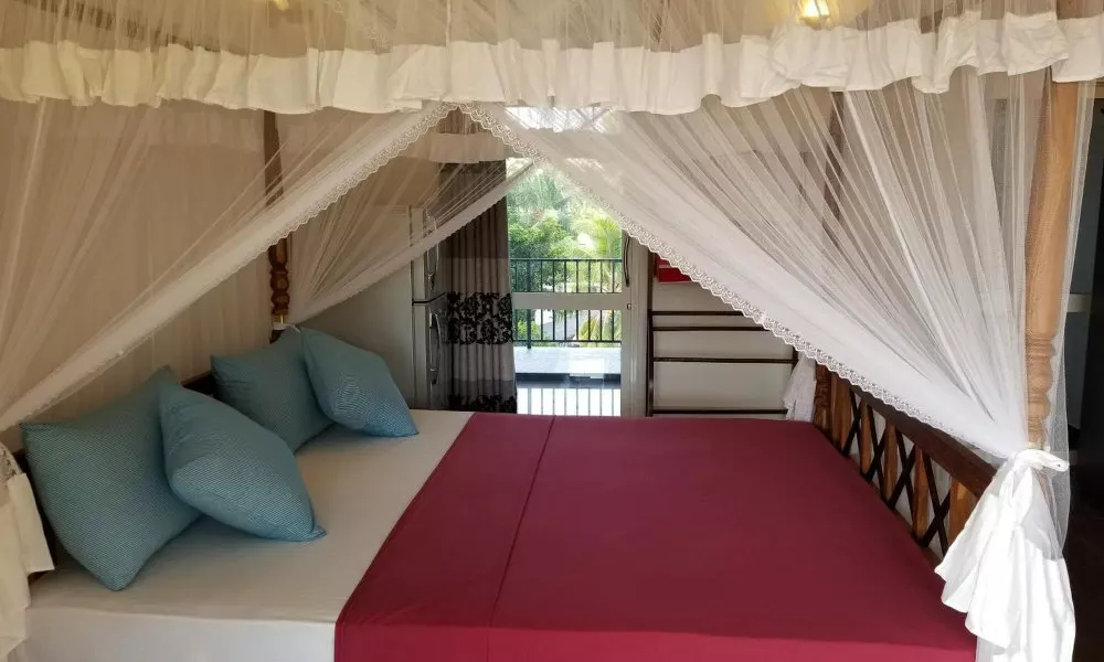 Coral Palm Villa & Apartments, фото 4
