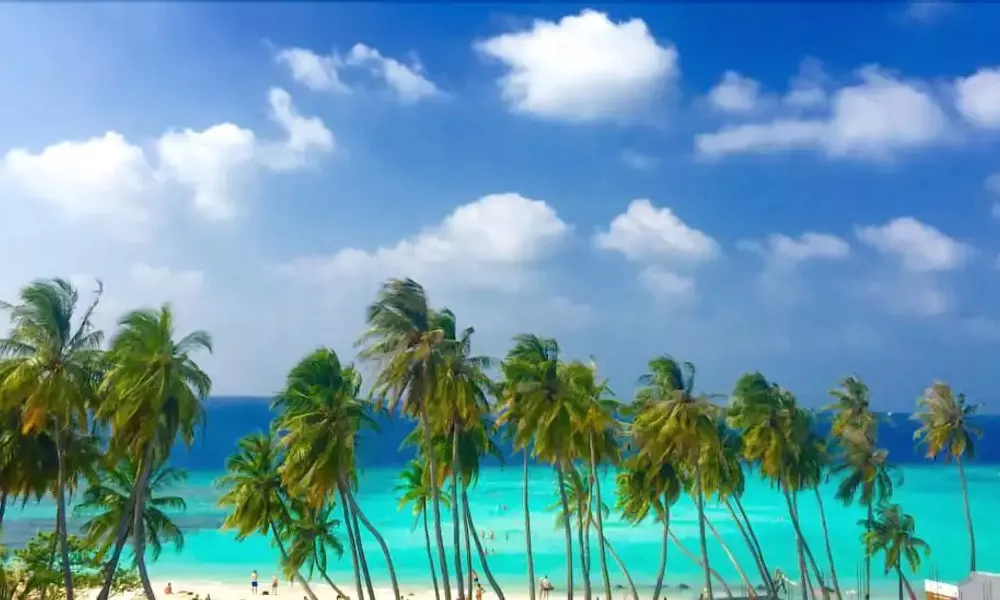Maafushi Veli, фото 5