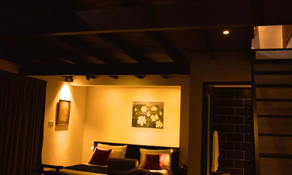 The Country House, фото 2