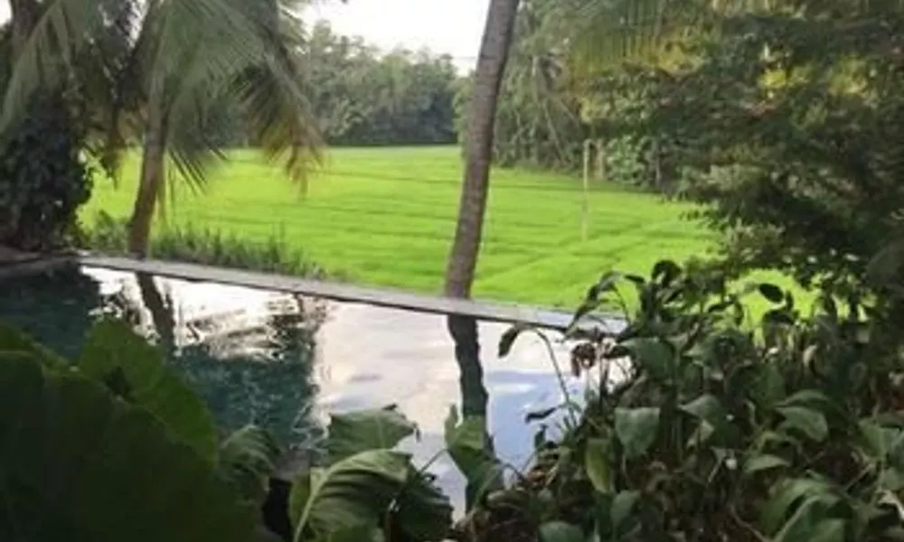 Serendipity House, фото 4
