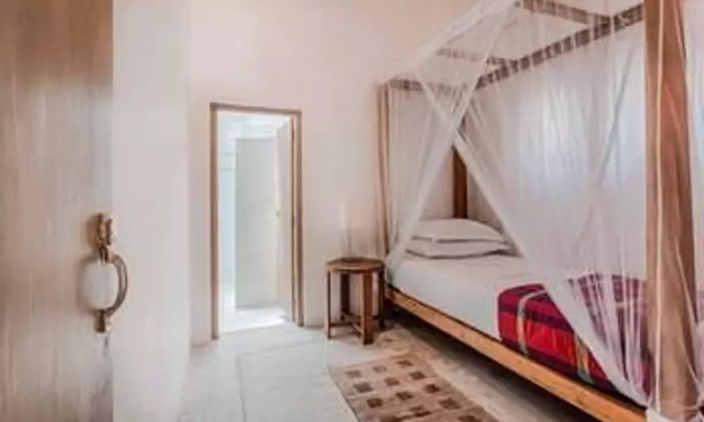 Serendipity House, фото 2