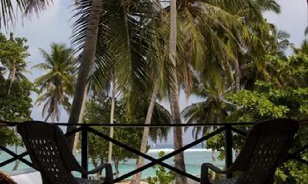Cokes Surf Camp, фото 3
