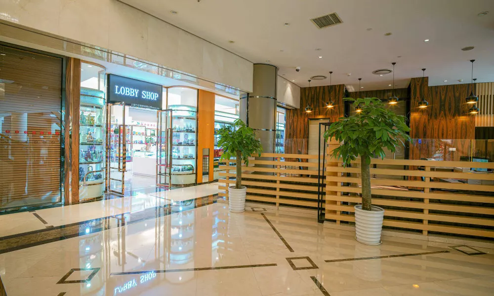 Ramada Plaza Shanghai Pudong Airport, фото 4