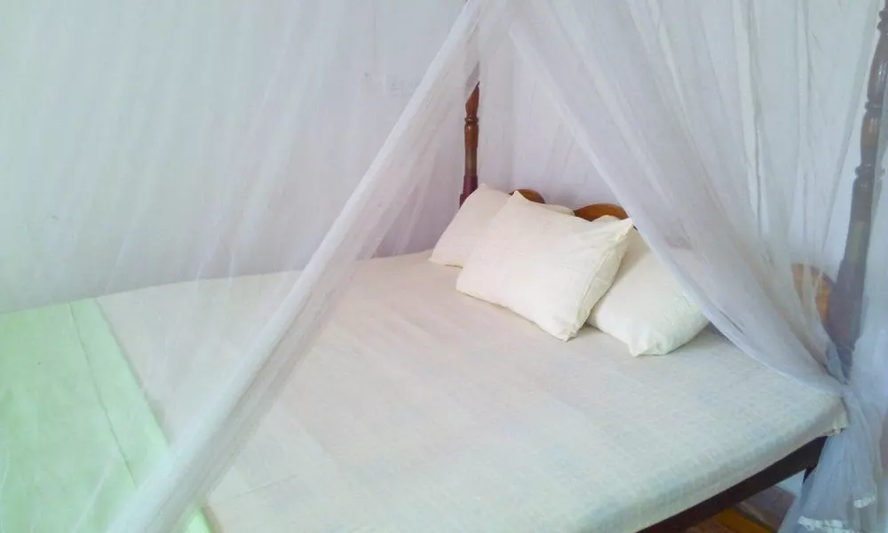 The Serendipity Beach Hotel, фото 2