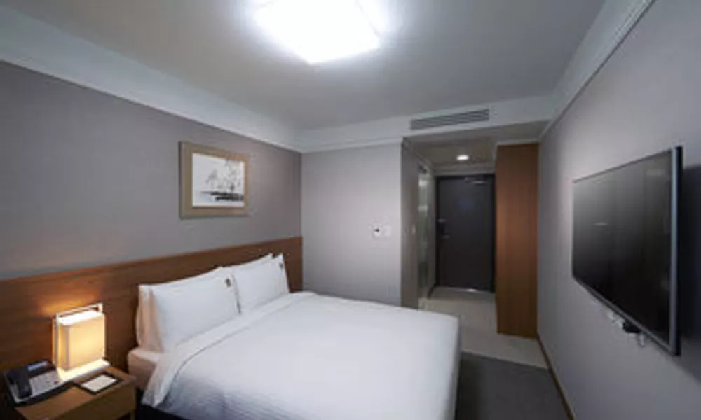 Benikea Premier Hotel Dongdaemun, фото 2