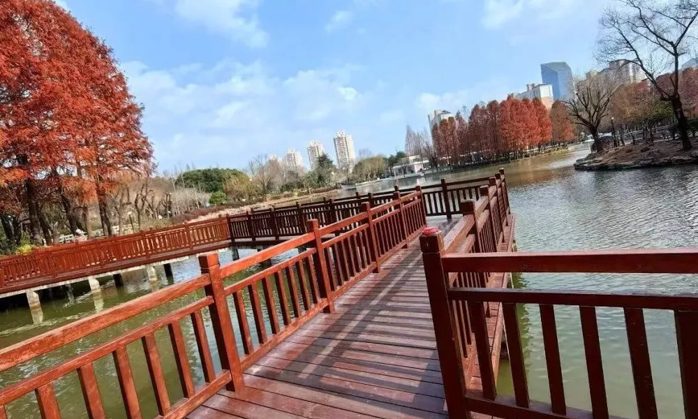 Regal Jinfeng Hotel, фото 3