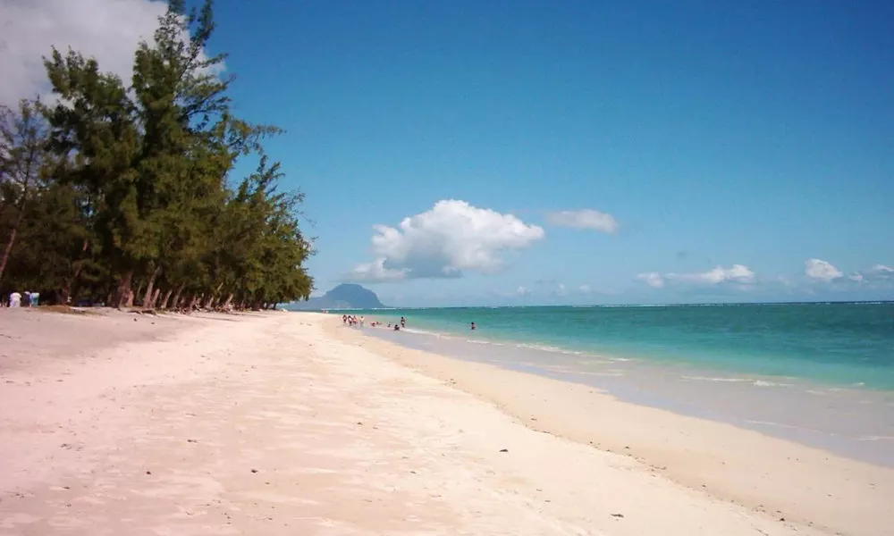 Alpha Villa, фото 5
