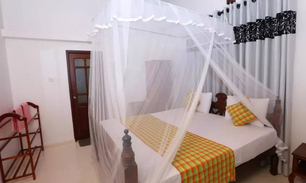 Rock View Guesthouse, фото 3