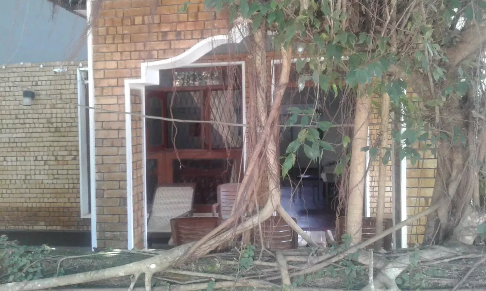 Hikka beach monkey - Hostel