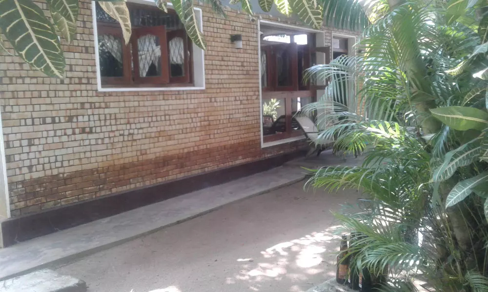 Hikka beach monkey - Hostel, фото 4