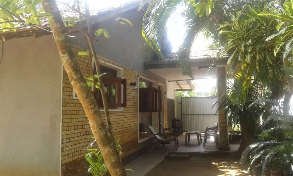 Hikka beach monkey - Hostel, фото 3