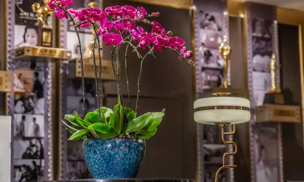 Crowne Plaza Hotel Shanghai by IHG, фото 5
