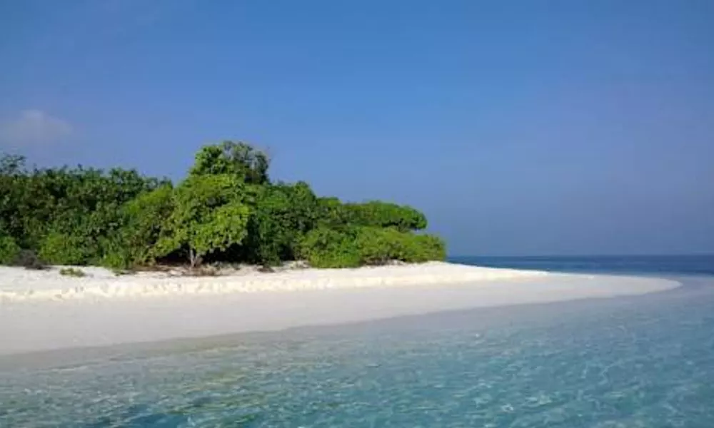 Atoll Beach Inn, фото 5