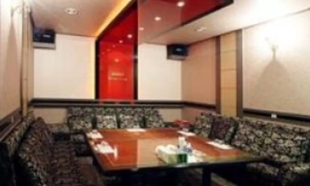 DoDo Tourist Hotel, фото 4